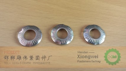 永年縣東灘頭雄偉緊固件廠專業(yè)供應(yīng)摩托車接地墊與接地墊圈