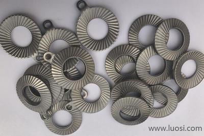 領導關懷促發展 廣東省委、陽江市委領導蒞臨史特牢金屬緊固件摩托車項目考察指導